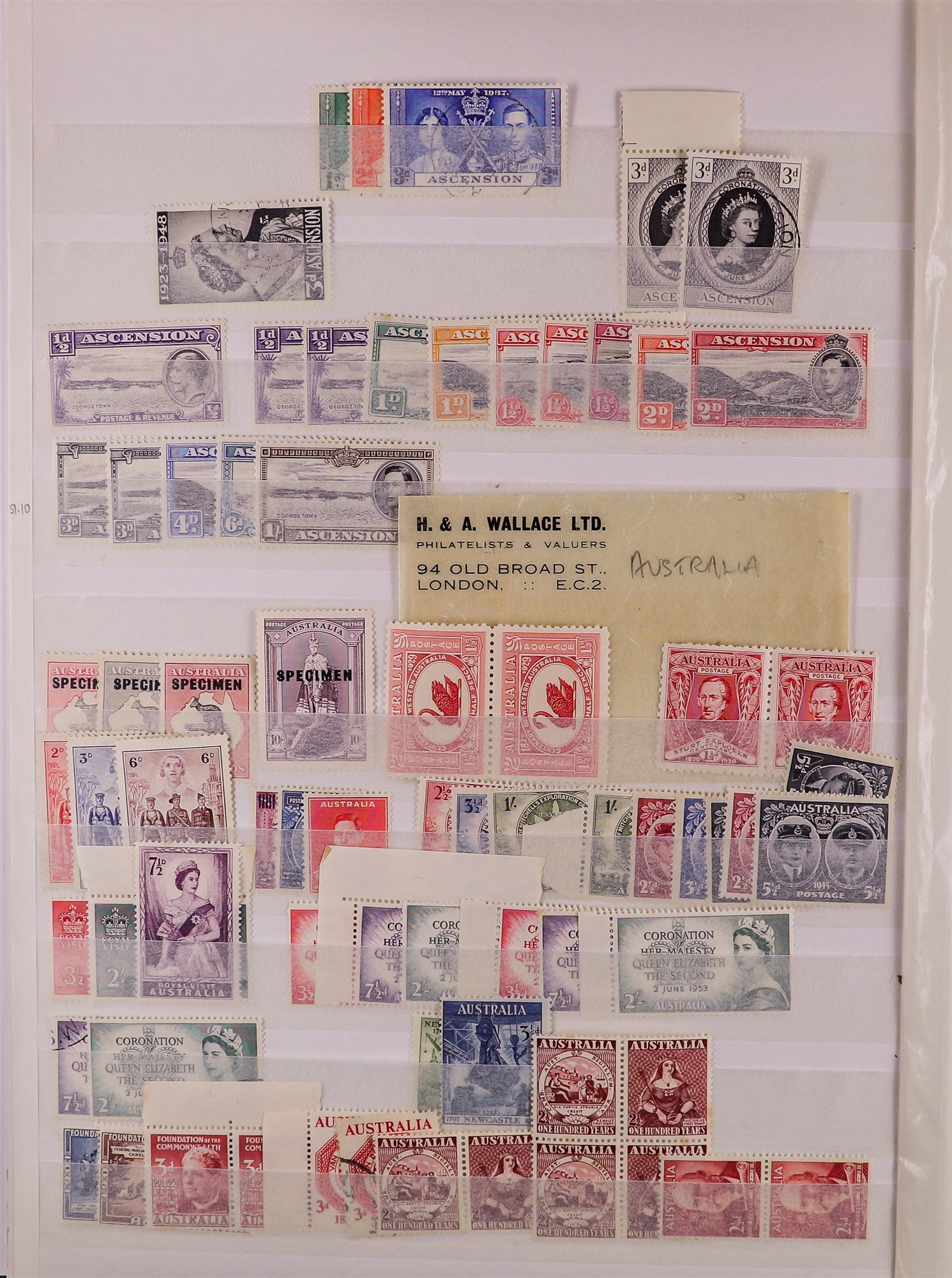 COLLECTIONS & ACCUMULATIONS BRITISH COMMONWEALTH a large stockbook of largely mint (much never