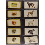 DOG RELATED CIGARETTE CARDS in two albums with a few oddments. Sets and part sets including: John