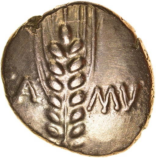Cunobelinus Linear.CVN+ Type. Catuvellauni & Trino. c.AD 8-41. Celtic gold stater. 15-17mm. 5.51g.