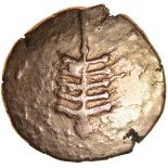 Anted Tree. ANTED RIGV Type. Dobunni. c.AD20-43? Celtic gold stater. 17mm. 5.35g.