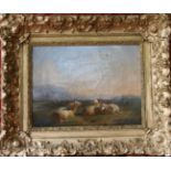 Painting "Sheep in the evening light"