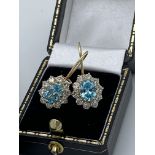 9ct Gold Blue Stone Set EarrIngs