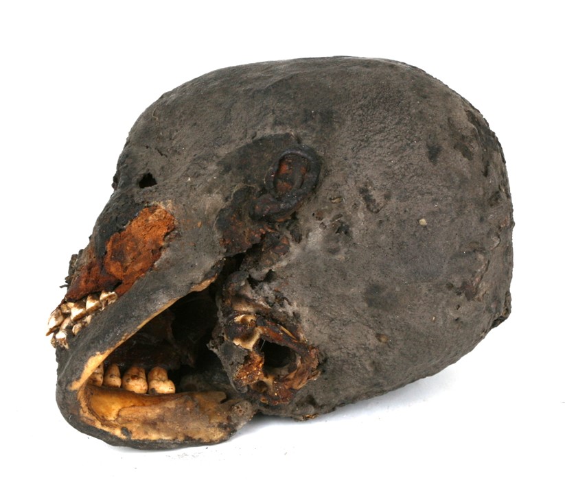 An Egyptian mummified human head, approx 19cms (7.48ins) long. Purchased by the vendor from a - Image 6 of 6