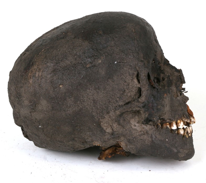 An Egyptian mummified human head, approx 19cms (7.48ins) long. Purchased by the vendor from a - Image 3 of 6