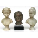 A bronzed plaster style composite head study of Alexander the Great on an ebonised plinth, 19cms (