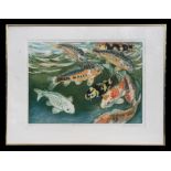 David Costa - Koi Carp - limited edition print, 2/100, signed in pencil to the margin, framed &