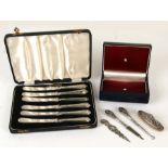 A set of six Edwardian silver handled butter knives, Sheffield 1905, weight 142g, cased; together