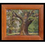 Basil Basken (modern British) - Sherwood Forest Oak Tree - oil on board, framed, 30 by 30cms (12