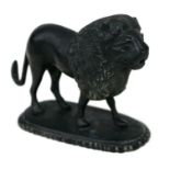 A Grand Tour style cabinet bronze in the form of a standing lion on an oval base, 11cms (4.25ins)