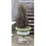 A reconstituted stone garden pedestal planter, 56cms (22ins) diameter.