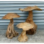 A group of three carved rootwood graduated wooden mushrooms, the largest 61cms (24ins) high (3).
