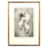 Anne Shingleton - White Chicken - artist proof print, signed & dated '80 in pencil to the margin