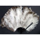 An ostrich feather and faux tortoiseshell fan.