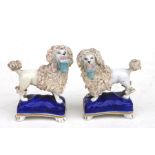 A Pair of 19th century Staffordshire pottery figures in the form of poodles standing on cushions