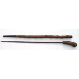A 19th century cane sword stick with a 62cms (24.5ins) single edged blade