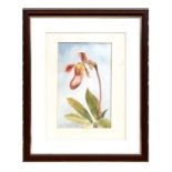 John Tennant (1926-1995) - Study of an Orchid, signed & dated 1993 lower left, watercolour, framed &