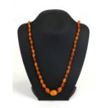 A butterscotch amber graduated bead necklace, weight approx 33g, 76cms (30ins) long excluding