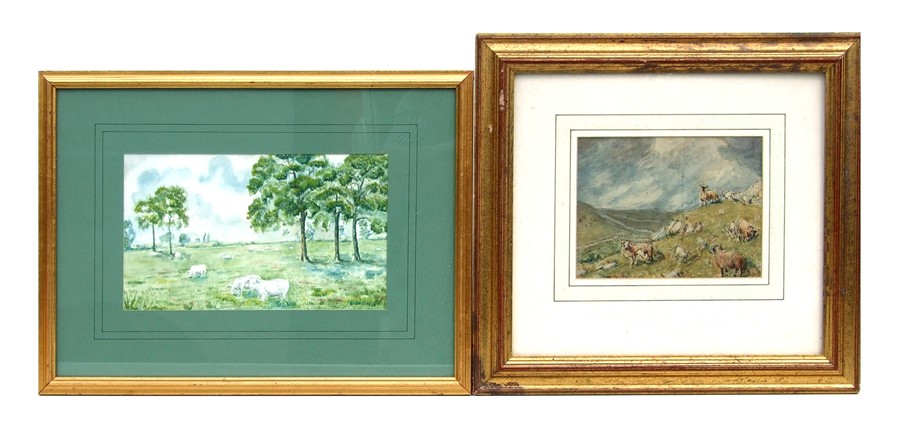 19th century Victorian school - A Flock of Sheep on a Fell Side - watercolour, framed & glazed, 16