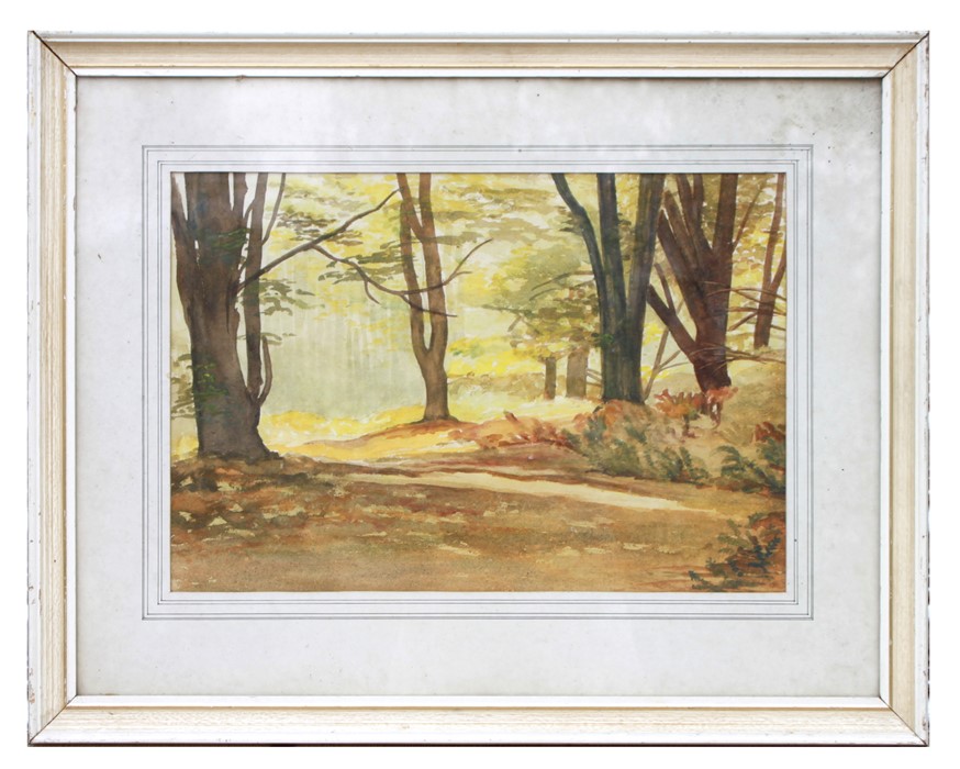 P A Shreve (modern British) - Forest Glade No. 3, The New Forest, Hampshire - watercolour, titled