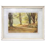 P A Shreve (modern British) - Forest Glade No. 3, The New Forest, Hampshire - watercolour, titled