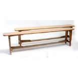 A pair of elm benches on square tapering legs joined by a stretcher, 206cms (81ins) long (2).