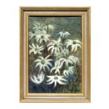 John Orr - Flannel Flower - signed lower right, oil on board, framed, 26 by 38cms (10.25 by 15ins).