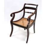 A Regency walnut desk chair with caned seat, on sabre front supports.