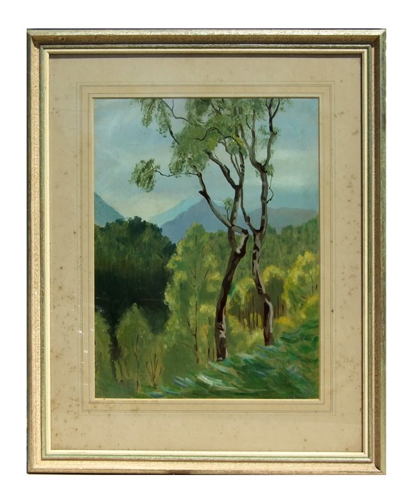 Monica Norris (nee Salisbury) - Silver Birches - signed lower right, gouache, framed & glazed, 37 by