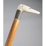 A late Victorian ivory handled walking cane, the handle in the form of a greyhound or whippet's