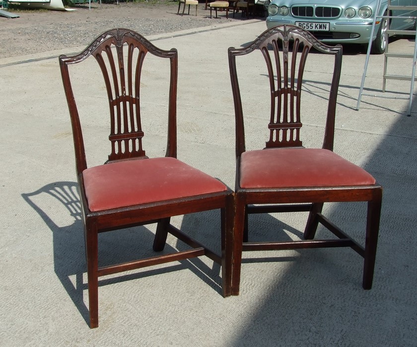 A pair of Georgian mahogany chairs with arched crest rail carved with wheat sheaf's, with drop-in