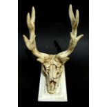A resin antlered stag's skull sword stand mounted on a wooden plaque, 40cms high.