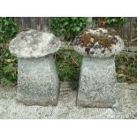 A pair of well weathered concrete staddle stones