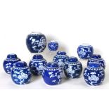 A quantity of blue and white ginger jars and covers decorated with prunus, the majority 12cms