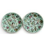 A pair of Chinese celadon famille rose plates decorated with exotic birds, butterflies and prunus,