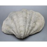 A large clam shell, 38cms wide.