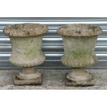 A pair of reconstituted stone urns with fern decoration, mounted on stands, 46cms high (2).