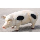 A butcher's shop advertising style resin pig. 102cm longCondition ReportGood condition, no age to