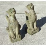 A pair of well weathered reconstituted stone griffins on plinth bases, each approx 68cms high (2).
