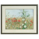 B T Kendall (modern British) - Poppies in a Field - signed lower right, watercolour, framed &