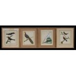 A set of four French late 18th / early 19th century hand coloured ornithological engravings