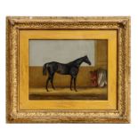 Attributed to James Loder (1820-1857) - A Chestnut Hunter in a Stable - oil on board, framed &