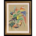 D L Griffiths - Unfinished Work of Exotic Birds - gouache, signed & dated 1989 lower right, framed &