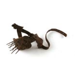 A 19th century cattle calf weaner made of leather and iron with hand made iron nails 5cms (2ins)