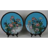 A pair of Japanese cloisonne charges decorated with flowers within fauna, on a blue ground, each