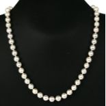 A cultured pearl necklace with 14ct white gold clasp.