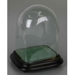 A small Victorian glass dome on an ebonised stand with squat bun feet, 18cms wide.