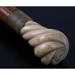 A late 19th century ivory handled Malacca walking stick. 914cm long