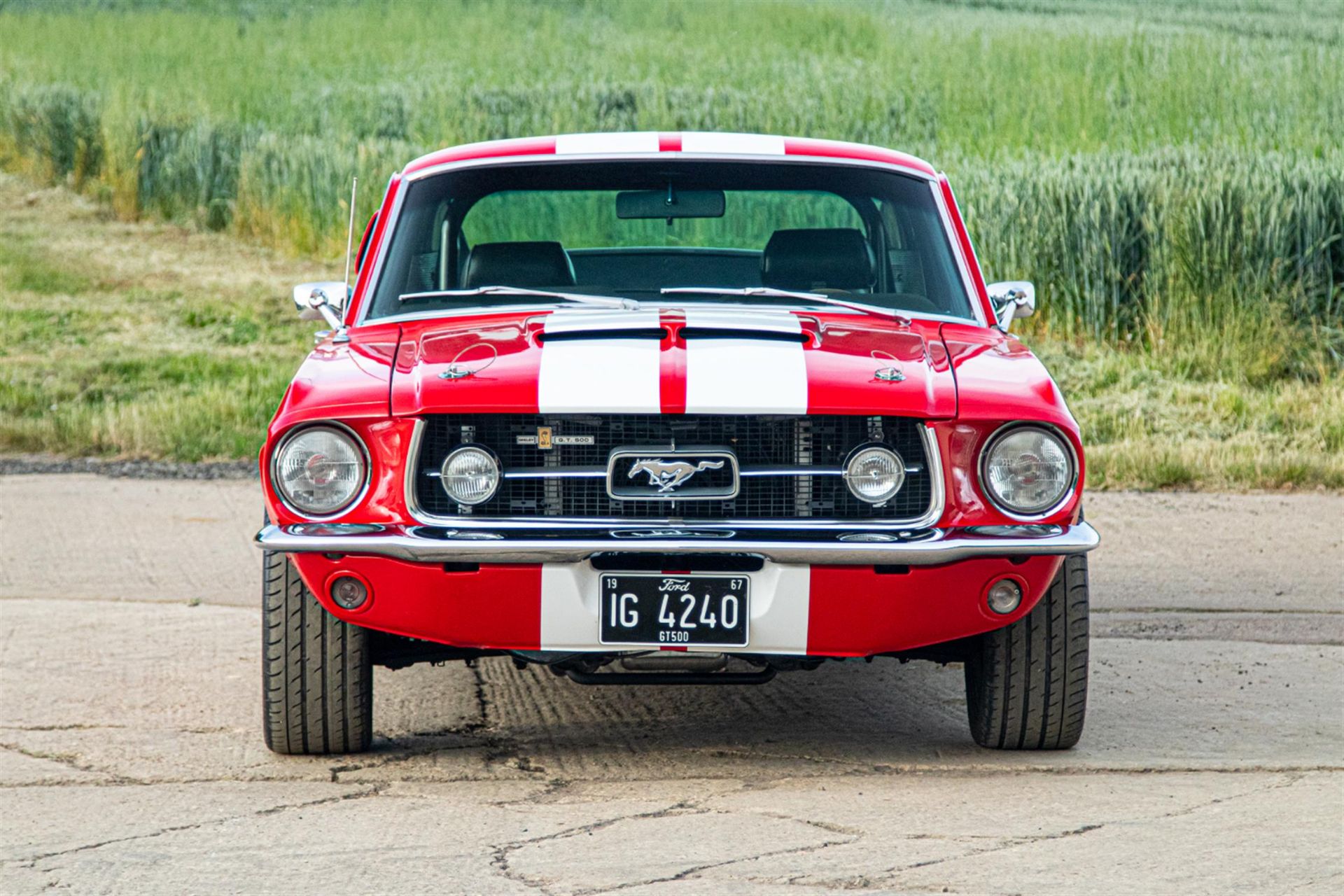 1967 Ford Mustang GT500 Replica - Image 3 of 8