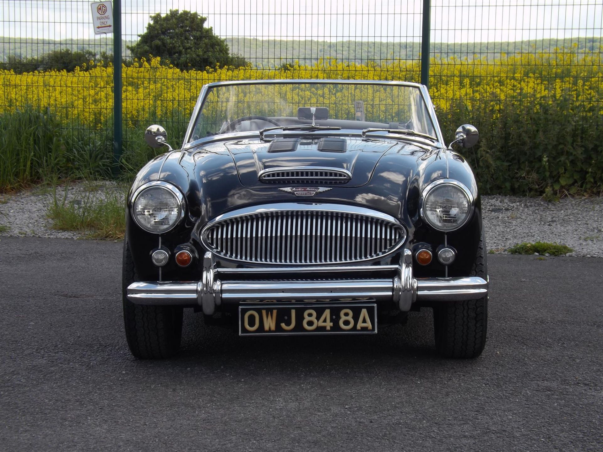 1963 Austin Healey 3000 MKII A (BJ7) - Image 3 of 5