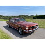 1966 Ford Mustang 289 Fastback